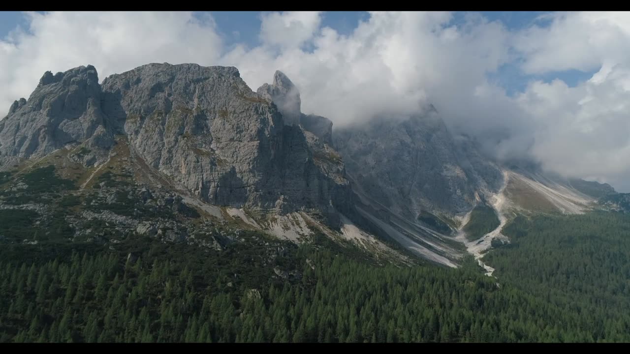 A Serene Aerial Expedition: Captivating Forest Landscapes from Above
