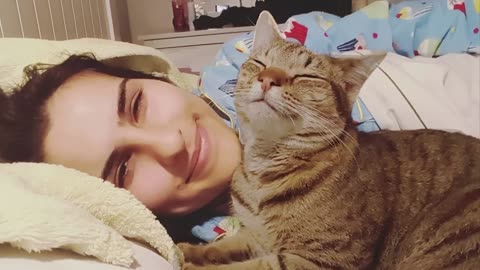 When your cats bring so much laughter into your life 🐱 Funny Cats