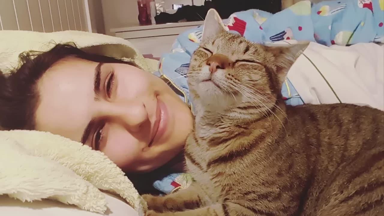 When your cats bring so much laughter into your life 🐱 Funny Cats