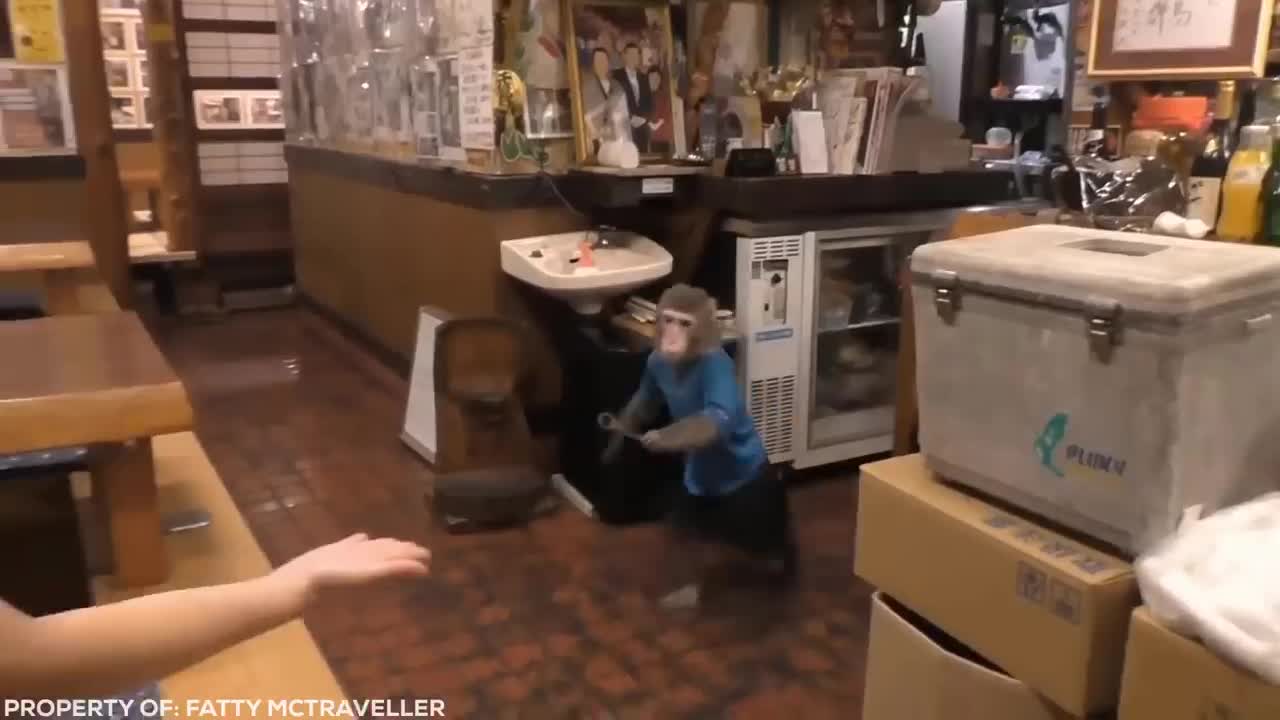 Eat At This Restaurant While Fish Swim Around Your Feet...