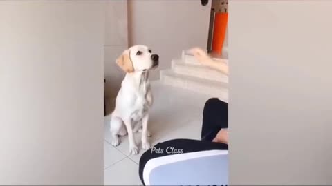 Most Watched Funny Video In The World 😅😂😁 🤣
