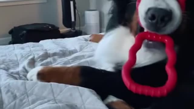 The timing🤣