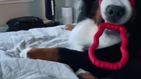 The timing🤣