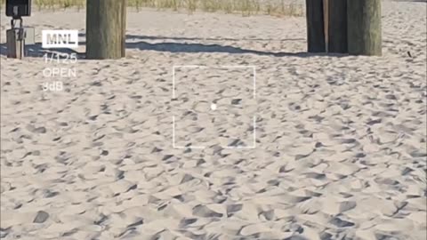 Coastal Mississippi Travel