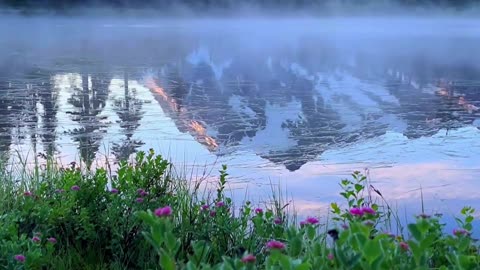 Beauty of Nature