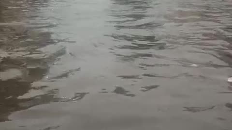 monsoon