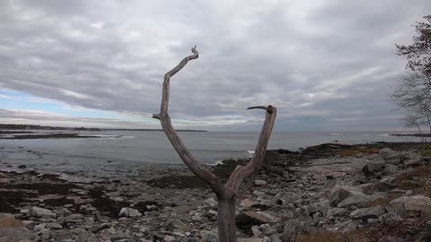 Ocean View