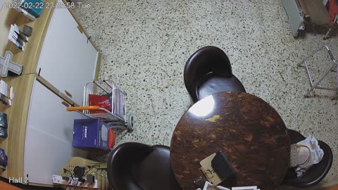 hallmid day n night 20220222