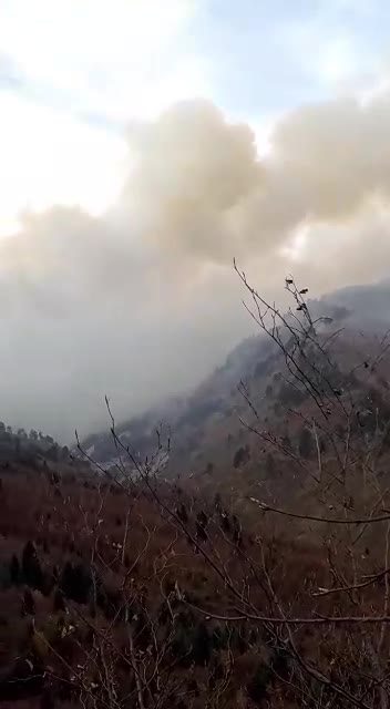 Zjarr i madh në malin e Drenovës, situata e vështirë te ‘Guri i Cjapit’