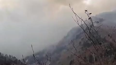 Zjarr i madh në malin e Drenovës, situata e vështirë te ‘Guri i Cjapit’