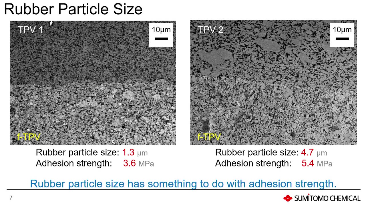 autotpo23-Takeshi-Tominaga