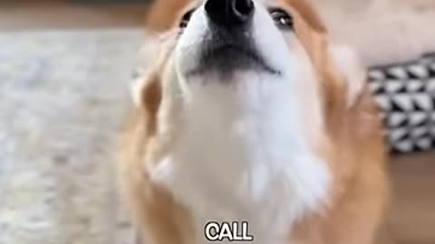 What can I do?