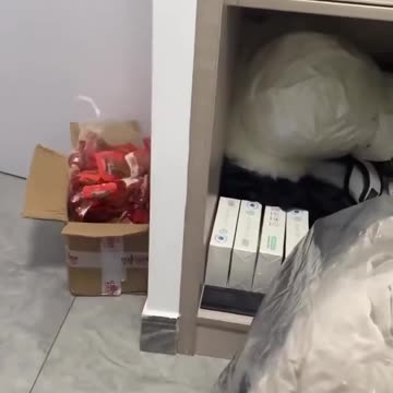 mine, mine, mime...oops