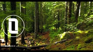 Grateful - A Motivational Song to Inspire Your Journey