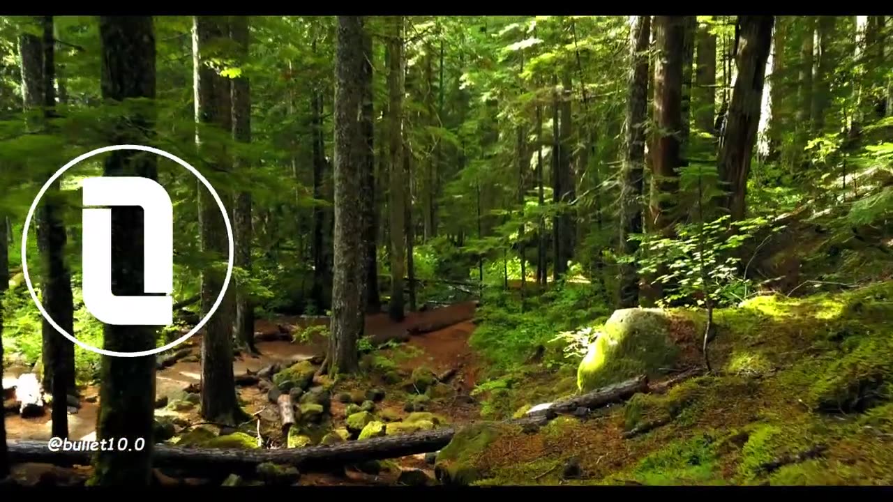Grateful - A Motivational Song to Inspire Your Journey