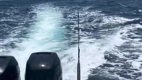 #StJudeDadPhotos #gulfofamerica #CatchChobaniOatmilk #gulfofamericatackleco #AmazonVirtualTryOn #Mad