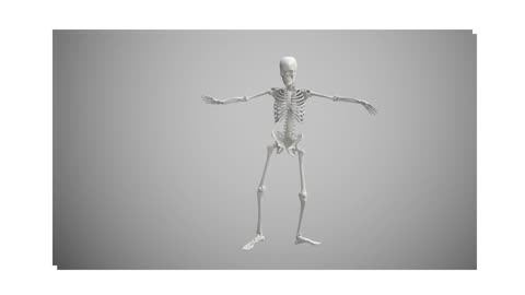 Funny viral HD quality