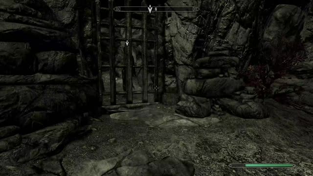The Elder Scrolls V: Skyrim- such rude wolves.