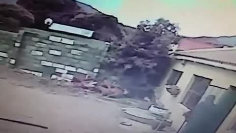 When Guard Dogs Give Robbers Instant Regret