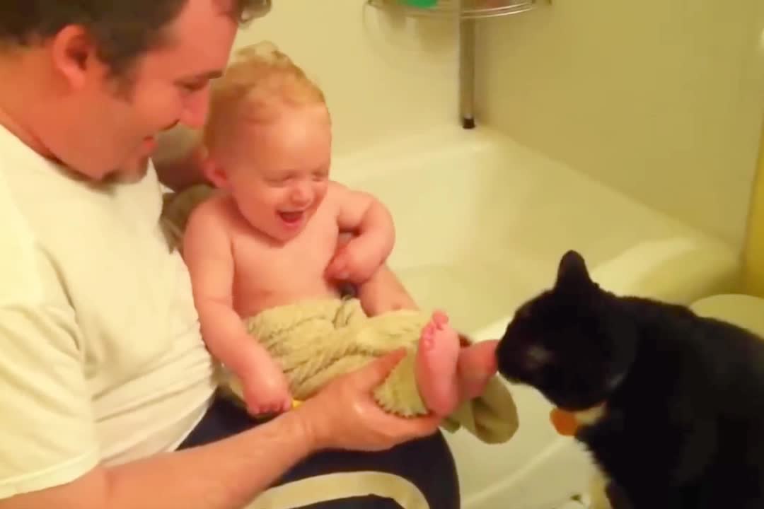 Fluffy orange meets with the yolk & cat and baby