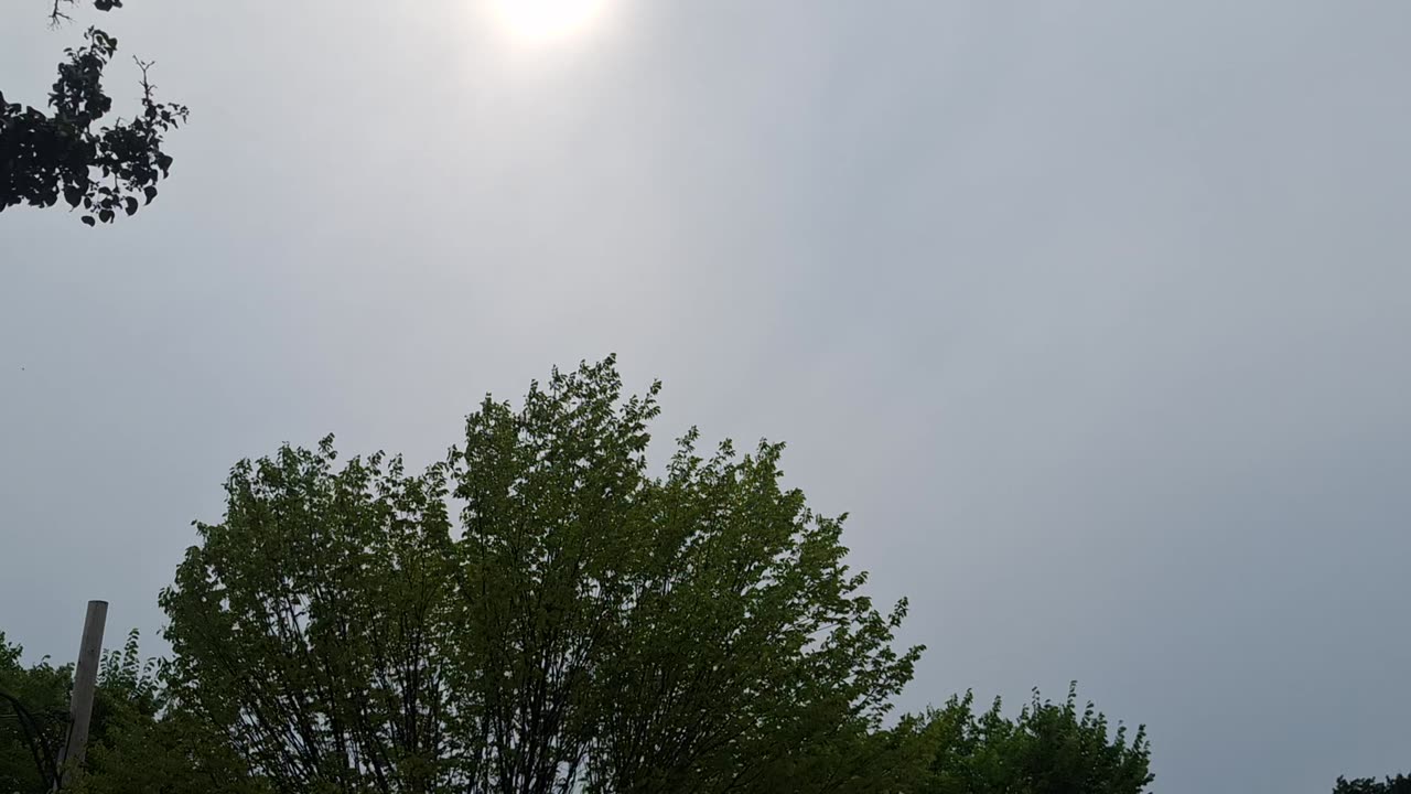 This cannot look normal to you!?!?!