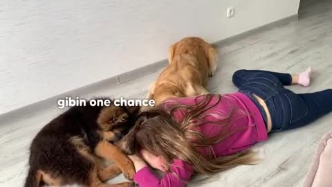Faking My Death in Front of My Dogs _ Funny Dogs Reaction