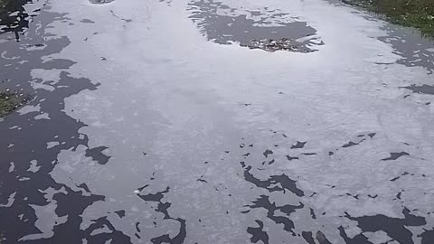 Industrial pollution, Miguelete stream, Montevideo