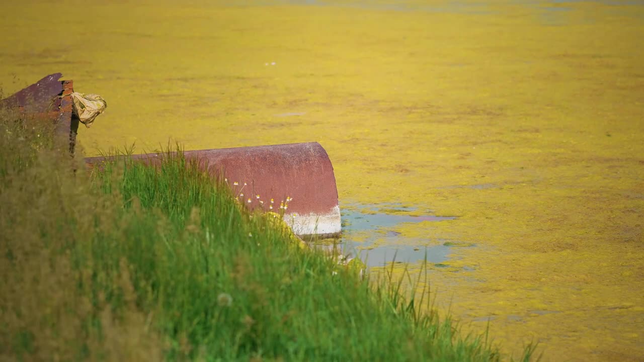 पानी में रहने वाले रहस्य्मयी जीव | Mystical Sea and Lakes Creatures From Folklore Around The World |