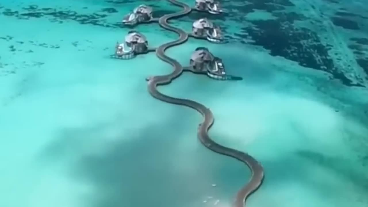 Nature short video