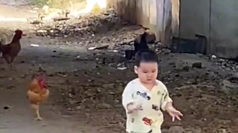 a chicken and a child fight like hell