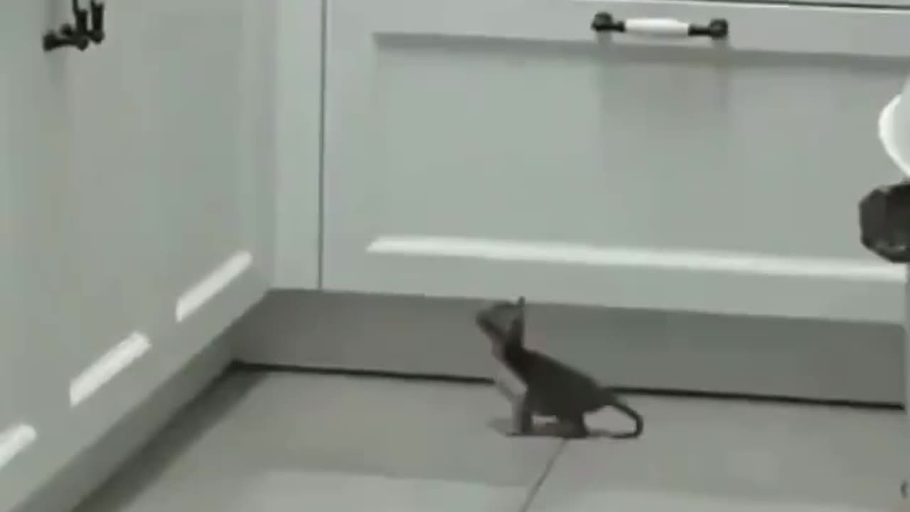At least he tried.