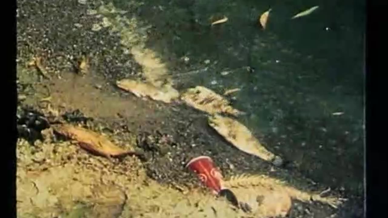 nahled na sebedestrukci planety lidskym druhem z filmu- Smrt mouchy (1976)