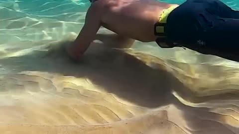 Youtube doesn_t want me here _( _shorts(720P_HD)
