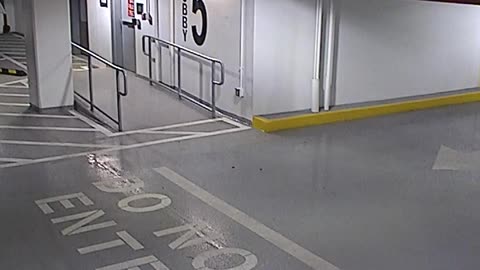 6080RHOBG3G305ANorthLobbyEntry_2021-01-06_07h20min01s727ms.mp4