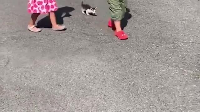 Tiny three-legged kitten follows children home