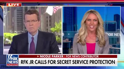 'PUZZLING'_ Ex-FBI agent is concerned over lack of RFK Jr. Secret Service protection Fox News