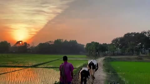Shokher Photography - Capturing the Beauty of Everyday Life