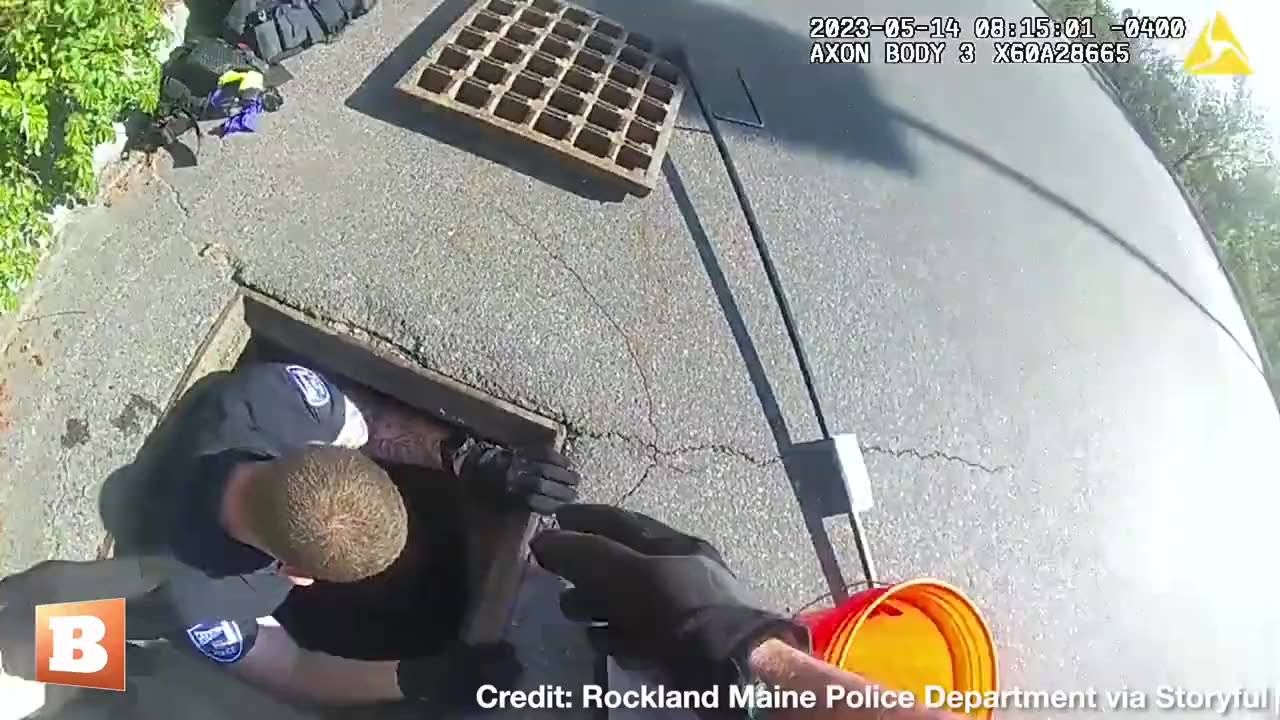 A police officer rescued 10 ducklings from a storm sewer while a mother duck observed on May 14