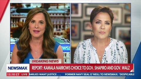 Kari to Newsmax: Blame Kamala Harris for Economy