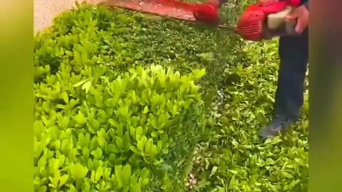 Duniya ke Skilled Workers
