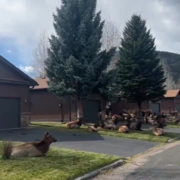 What would you do if you came across this???