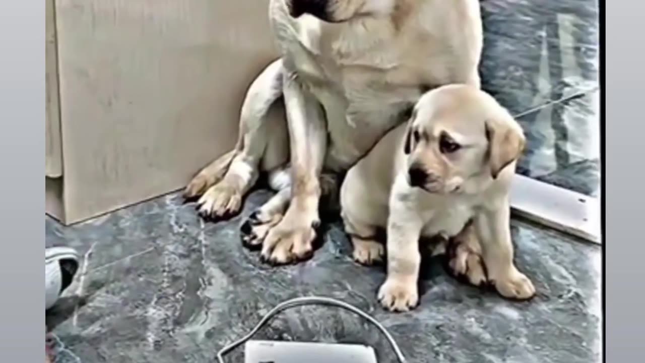Mother loves her child so much that she understands all the problems of the child.