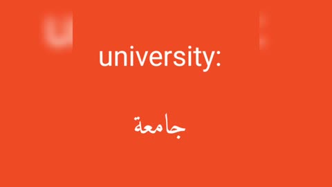 University معنى كلمة