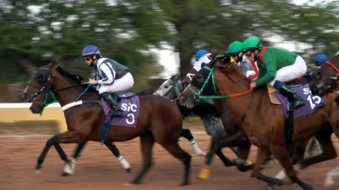 Hipódromo King Abdulaziz: Tradición Hípica Del Medio Oriente