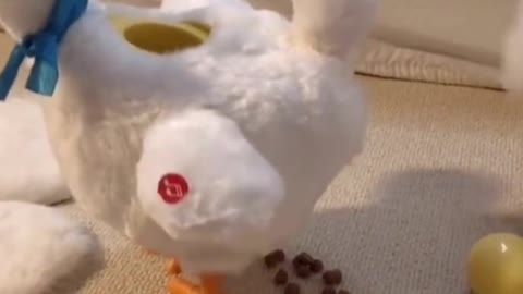 This is a toy rooster. It looks funny