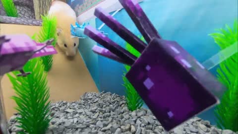 Hamster Escapes The Awesome Minecraft Maze With Underwater Obstacle Course6