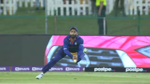 cricket || brilliant catch by Ravindra Jadeja || an indian player