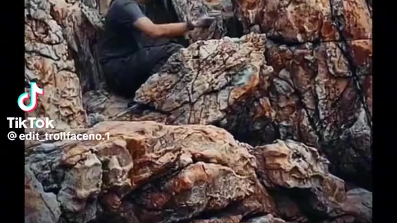#sniper#