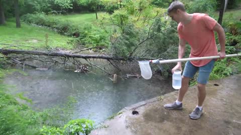 Baby Snapping Turtle vs Crayfish8