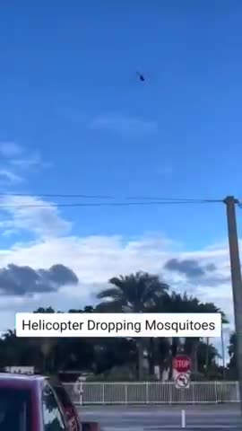 Helicopter Dropping Mosquitoes...